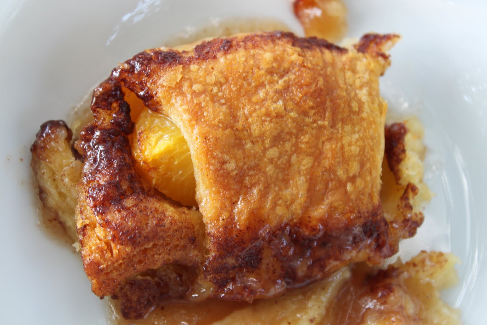 A WellSeasoned Life Peach Enchiladas