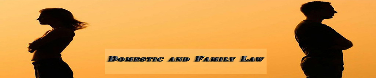 US Domestic and Family Law