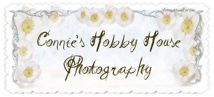 Connie's Hobby House Photography