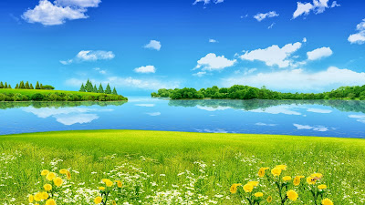 Lake Green Grass Full HD Nature Wallpapers Free Downloads For Laptop PC Desktop Backgrounds