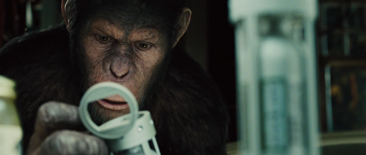 Rise of the Planet of the Apes Subtitles