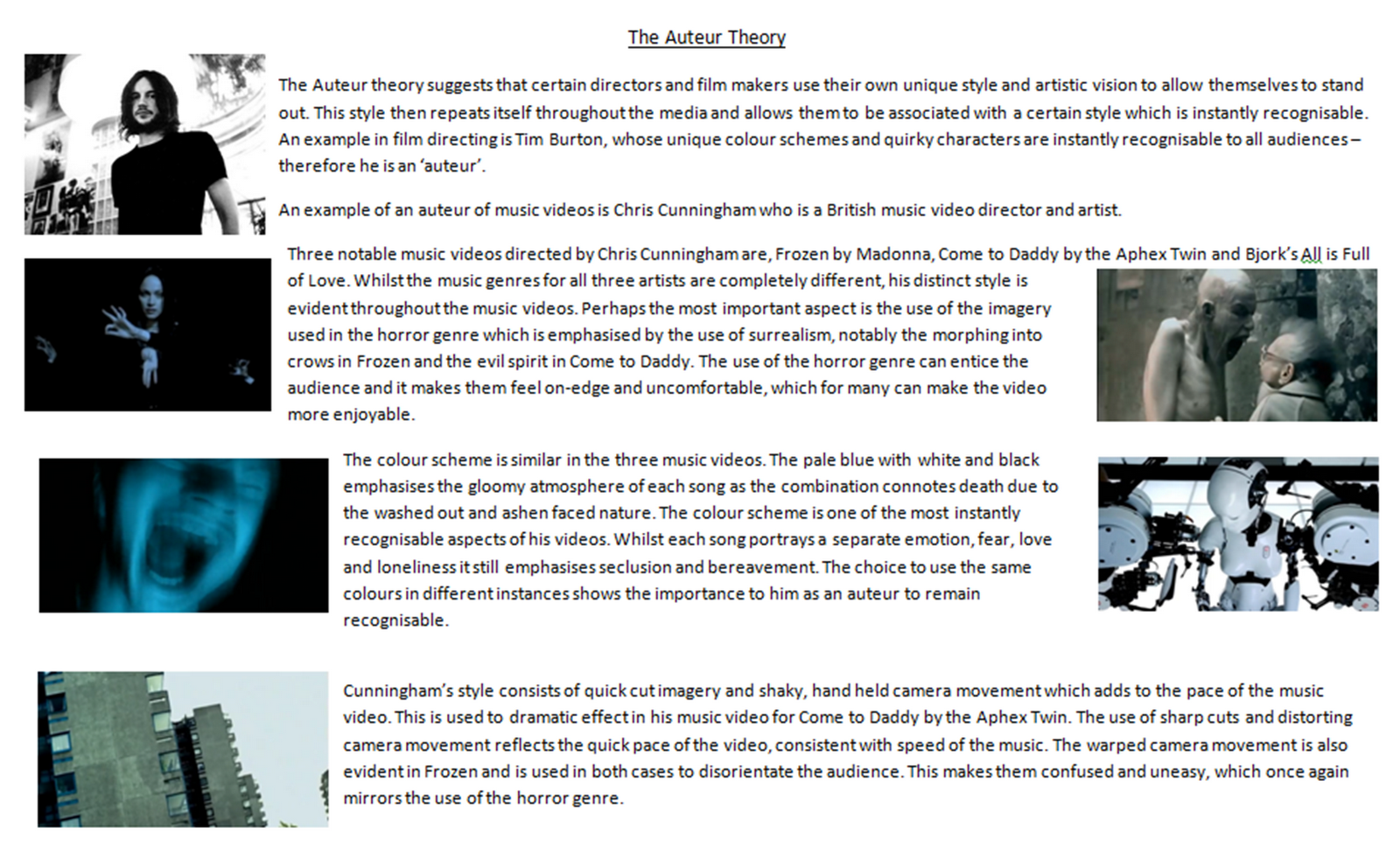 A2 Music Video Coursework: The Auteur Theory