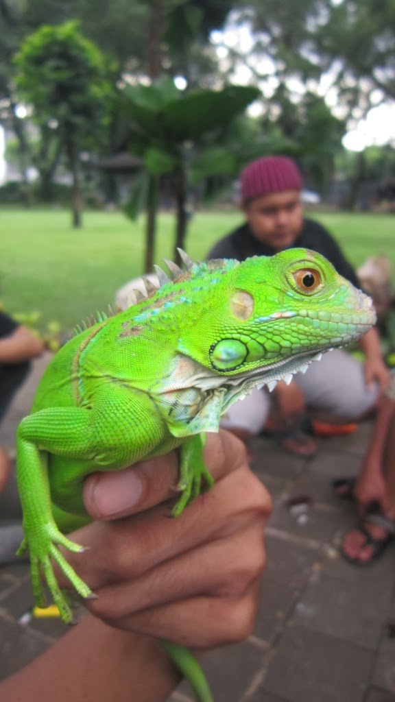 Amstrup Maclean Openstreetmap