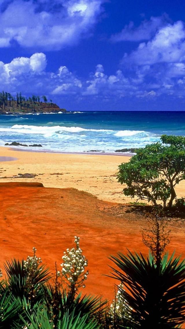 Kealia Resort, Beach, Kauai, Hawaii, Archipelago, United States