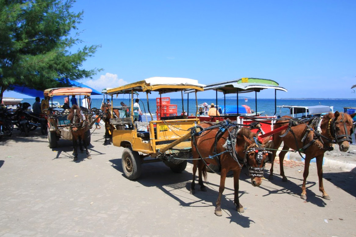 Gili Trawangan in Lombok | Travel and Photo Gallery