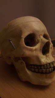 IMAG0137.jpg