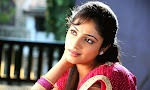 Hari Priya in Half Saree Photo Stills in Pilla Zamindar-thumbnail