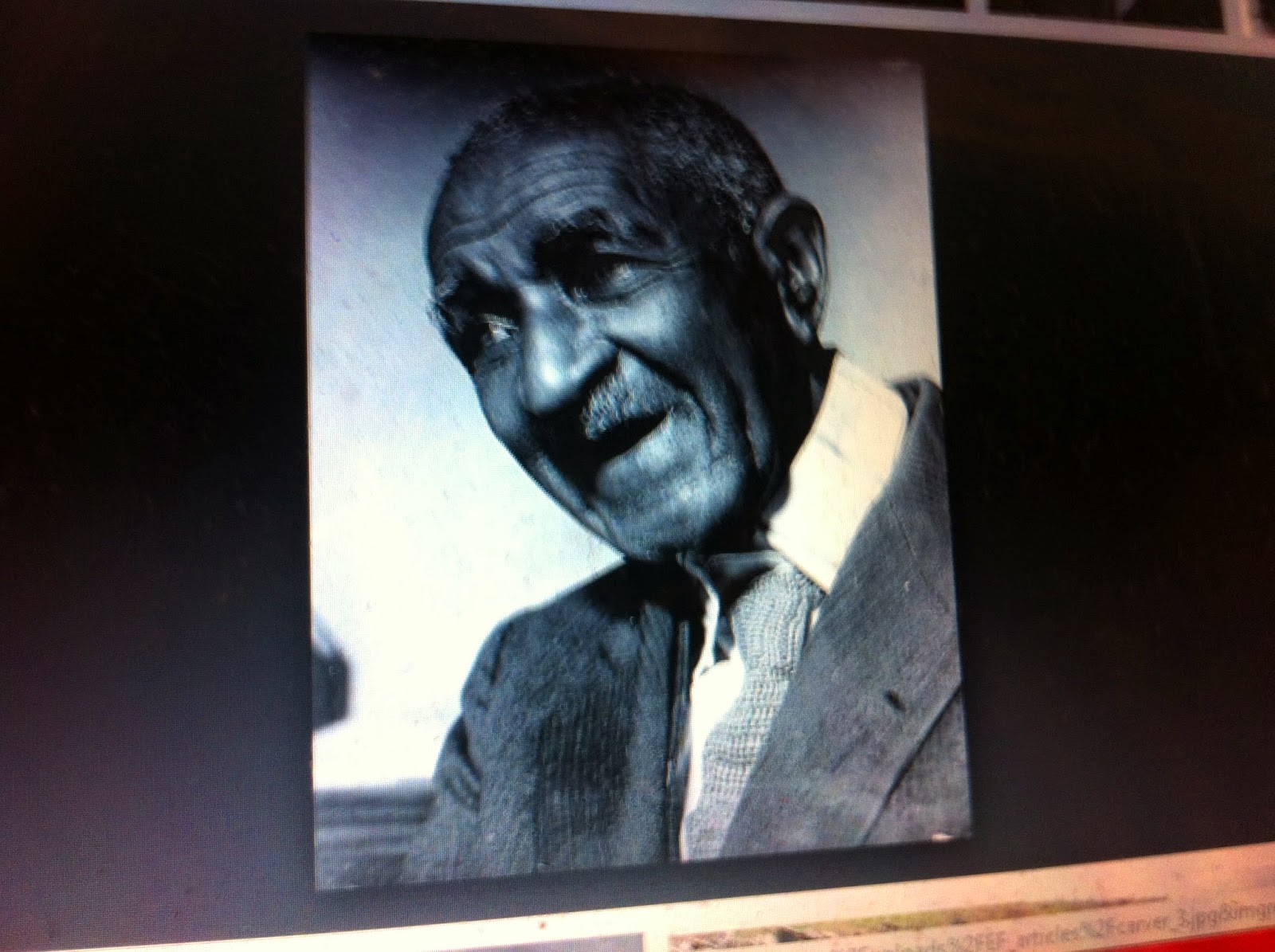 THE BLACK SOCIAL HISTORY BLACK SOCIAL HISTORY AFRICAN AMERICAN