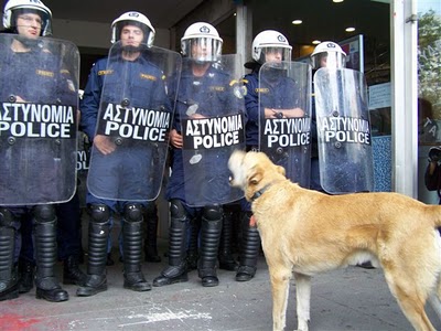 greek riot dog