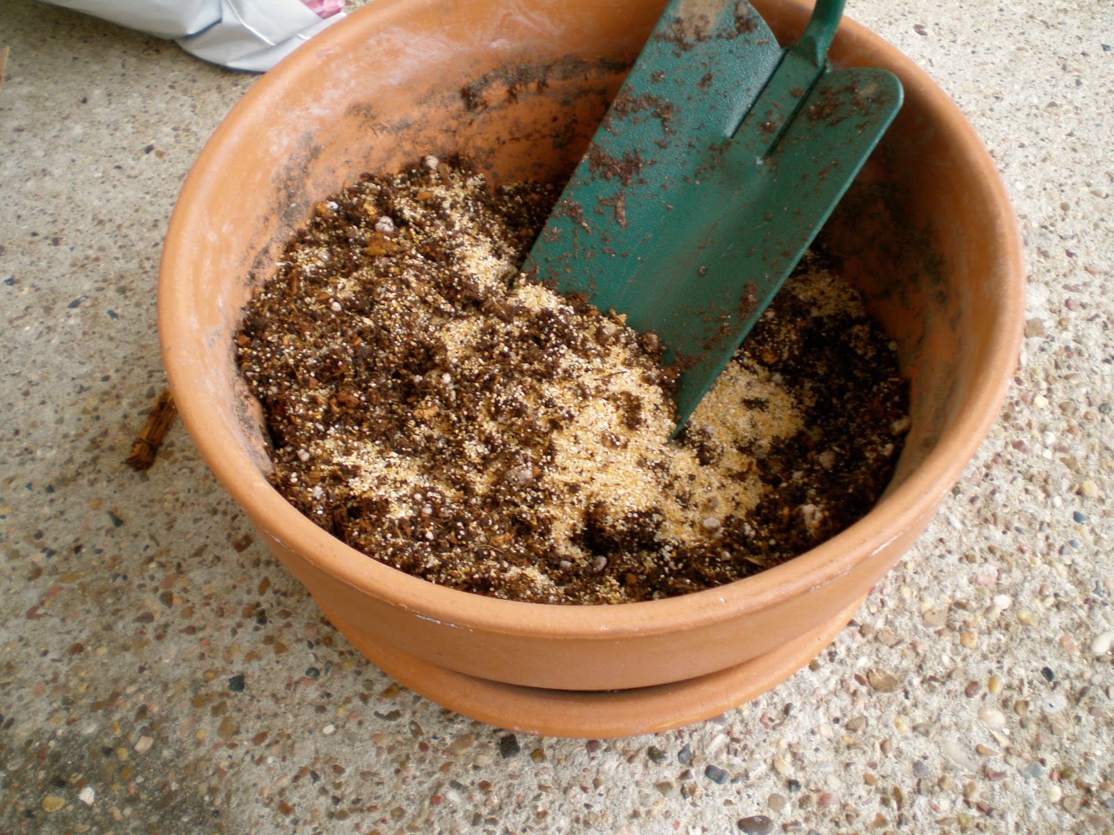 The Fern and Mossery Mixing Soil for a Terrarium