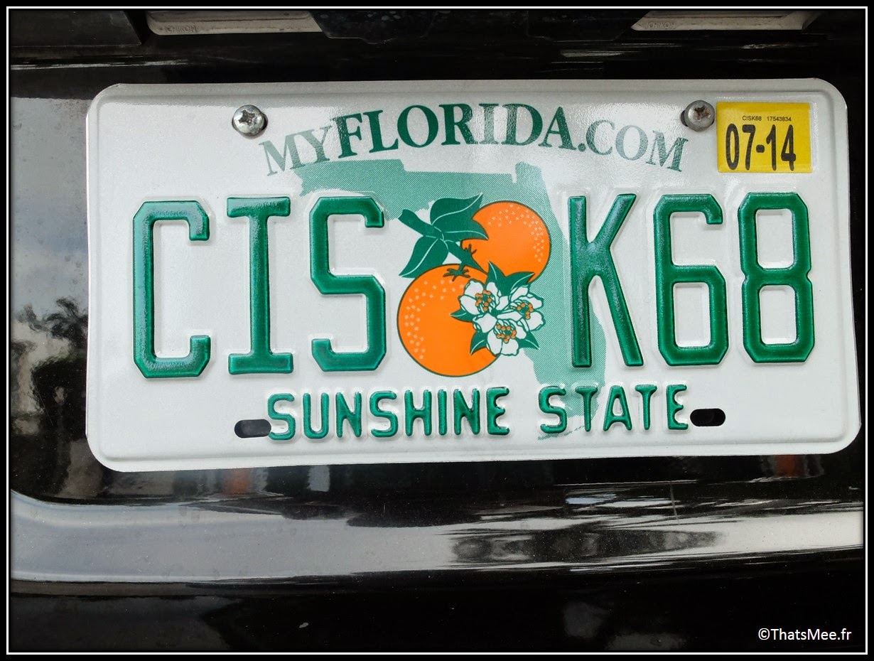 Flordia Sunshine state orange symbol of the state