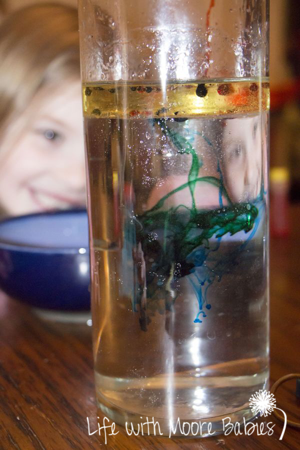 Fireworks in a Jar a Simple Density Experiment Life with Moore Babies