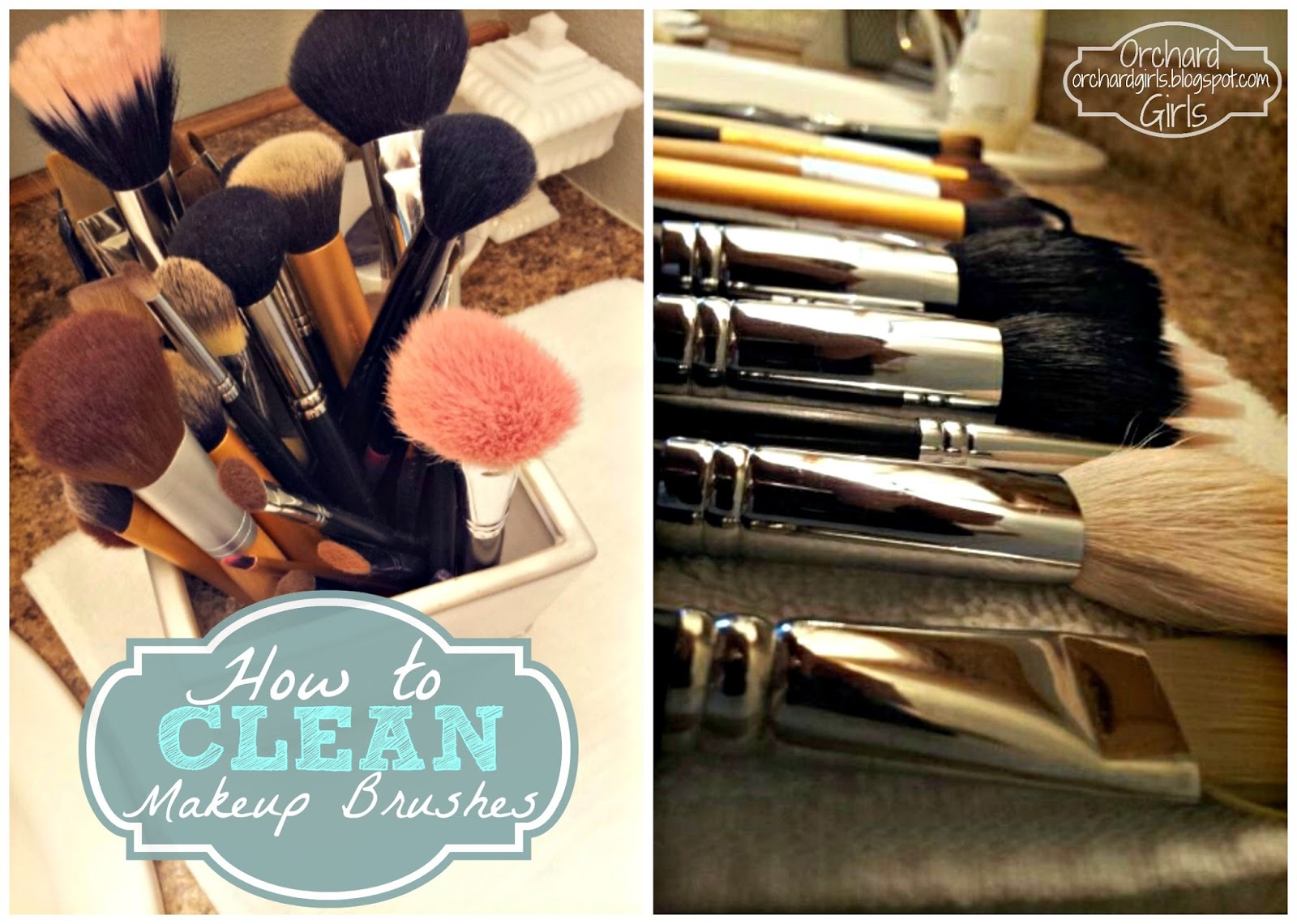 Orchard Girls How to Clean Your Makeup Brushes