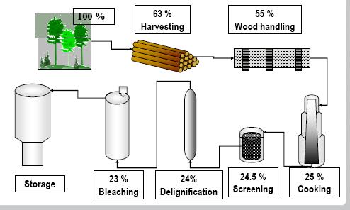 My Story My Imagination