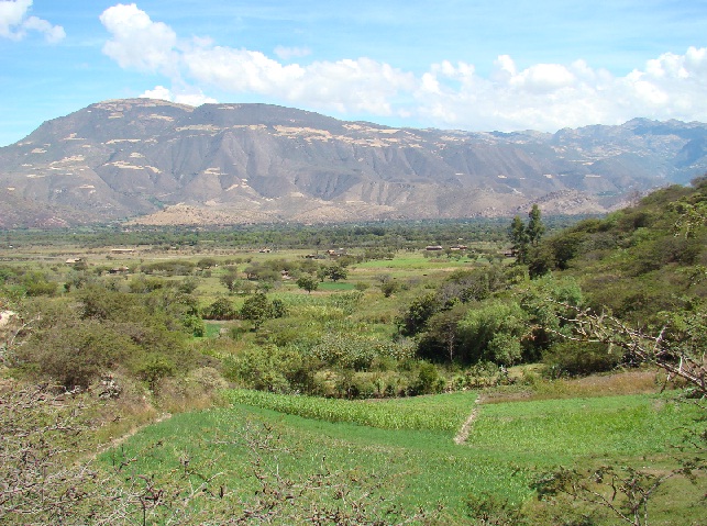Oscol - Cajabamba