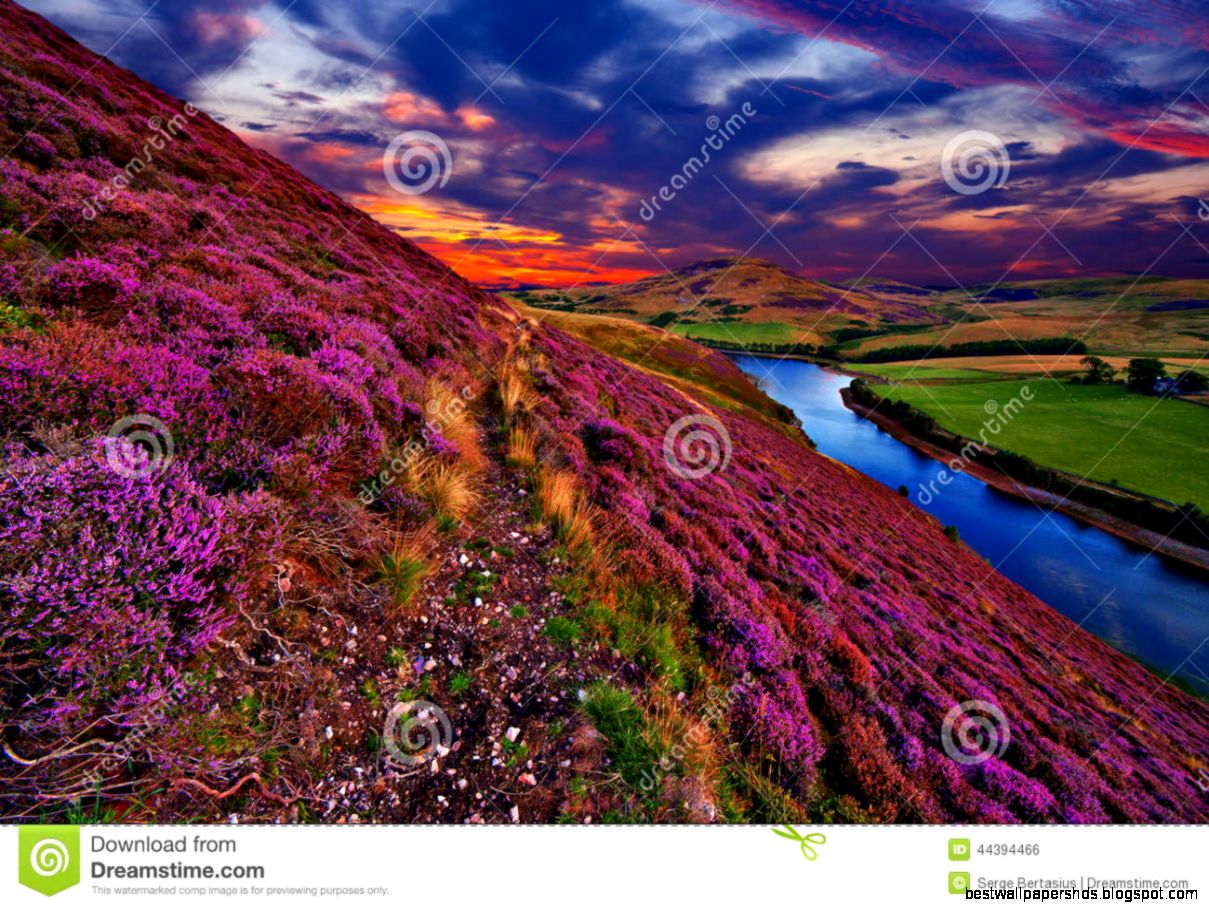 Beautiful Landscape Of Scottish Nature Stock Photo Image 44394466 Beautiful Landscape Of Scottish Nature Stock Photo Image 44394466
