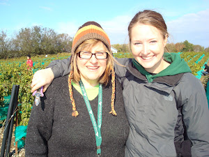 Teachers in the vineyard