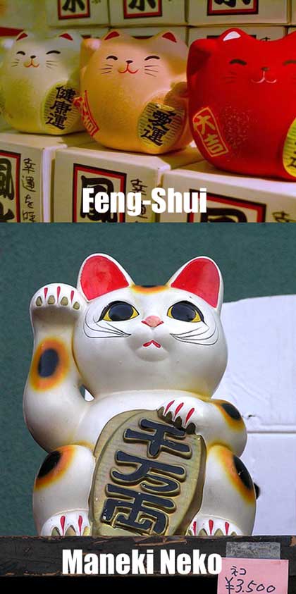 Feng Shui Cat