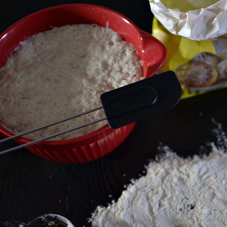 Pieni Lintu Baking for dummies Easy bread recipe