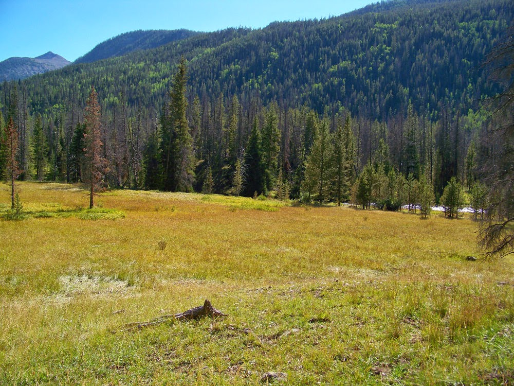 Runaway Bridal Planner Christmas Meadows, Utah High Uinta Mountains