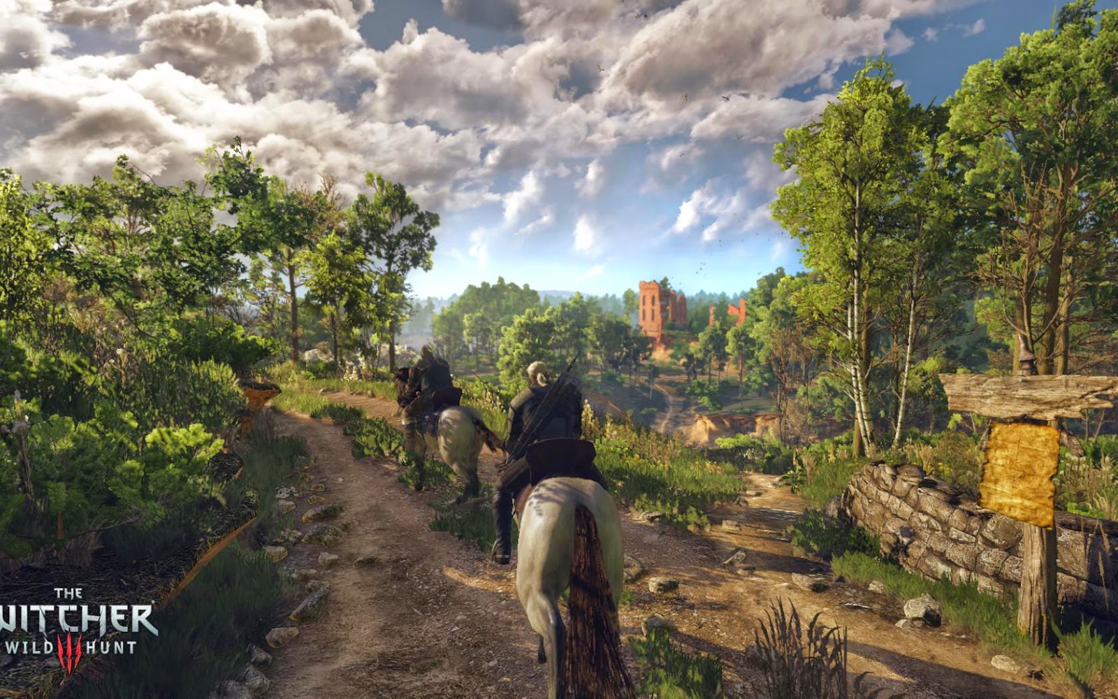 The Witcher 3 Wild Hunt  Wall