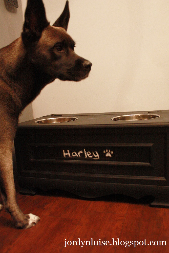 JL Designs Fancy Dog Food Bowl