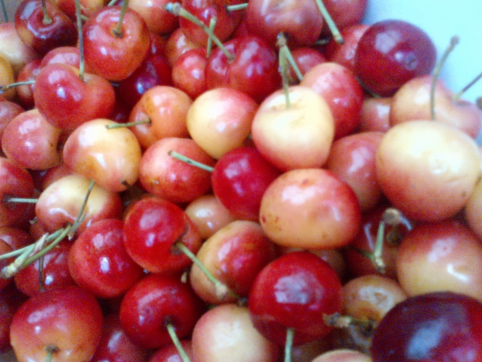 The Produce Savant Red vs. White