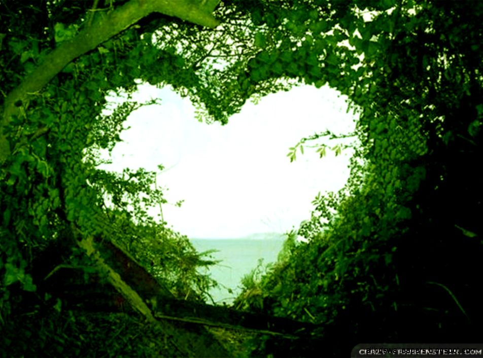 Beautiful Love Nature Beautiful Love Nature