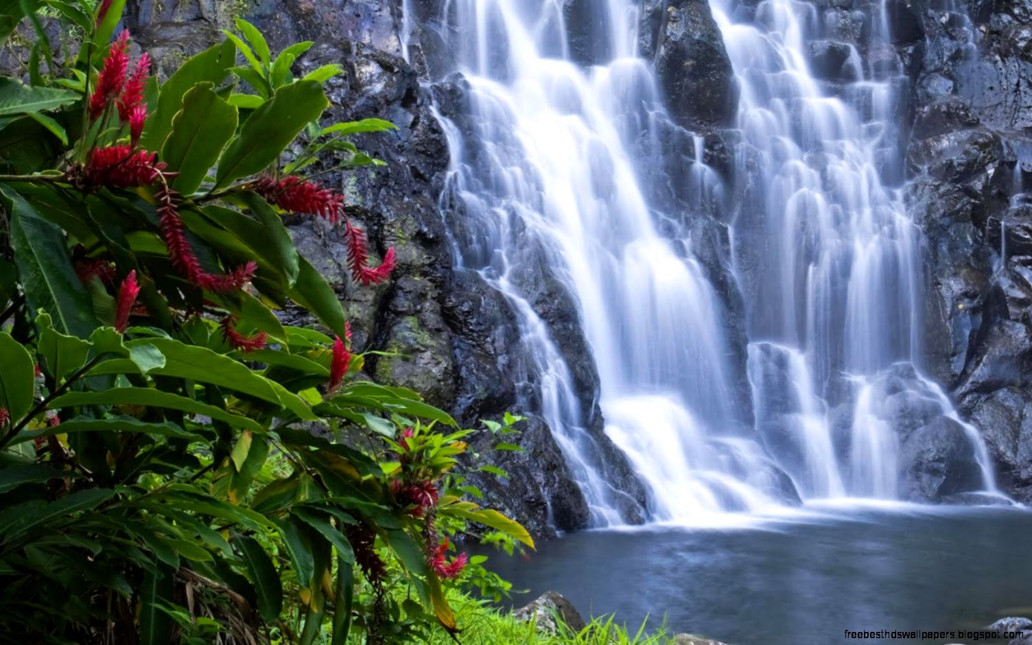 finest wallpaper desktop 3d nature Wallpapers Mela finest wallpaper desktop 3d nature Wallpapers Mela