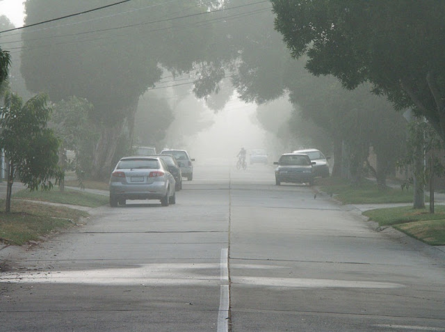 Fog Pictures