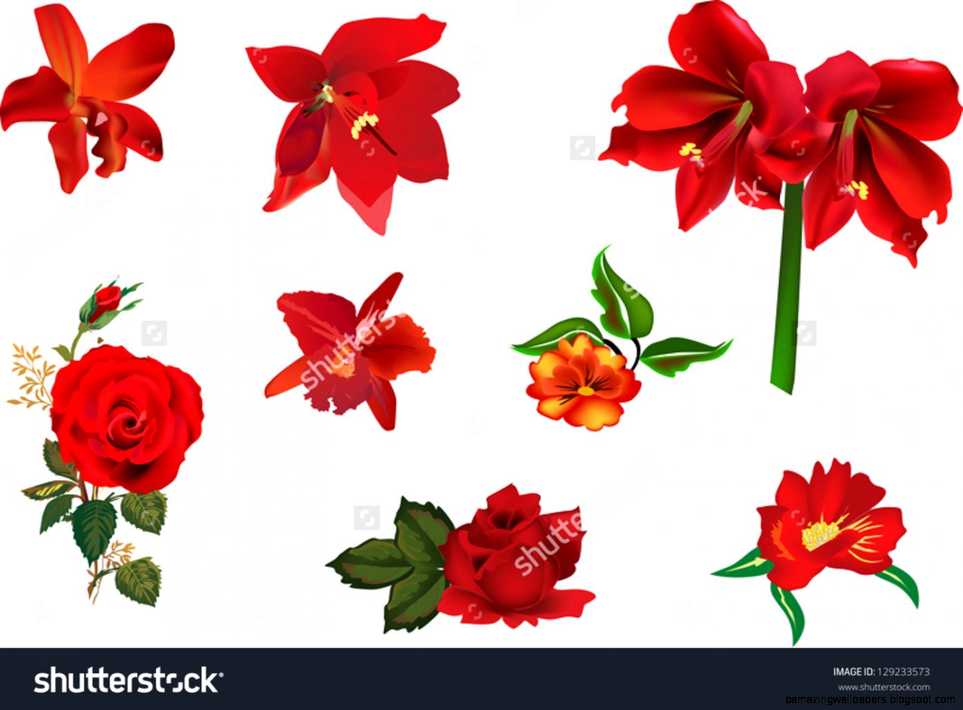 Red Flower Stock Photos Images Pictures Shutterstock Red Flower Stock Photos Images Pictures Shutterstock