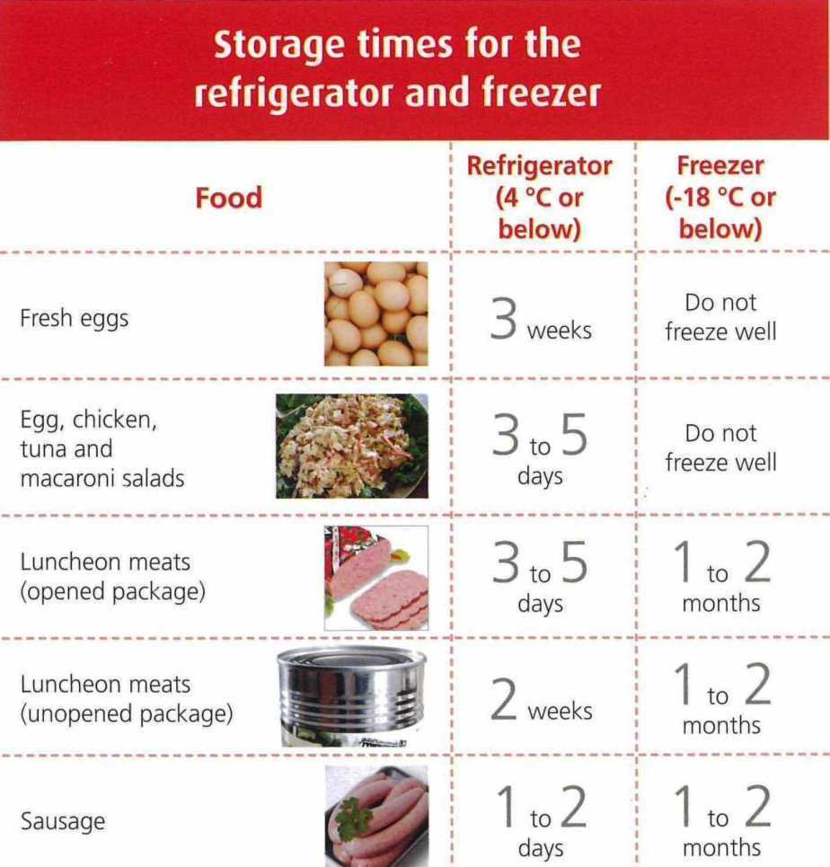 Jeddah Info Storage Times For The Refrigerator And Freezer