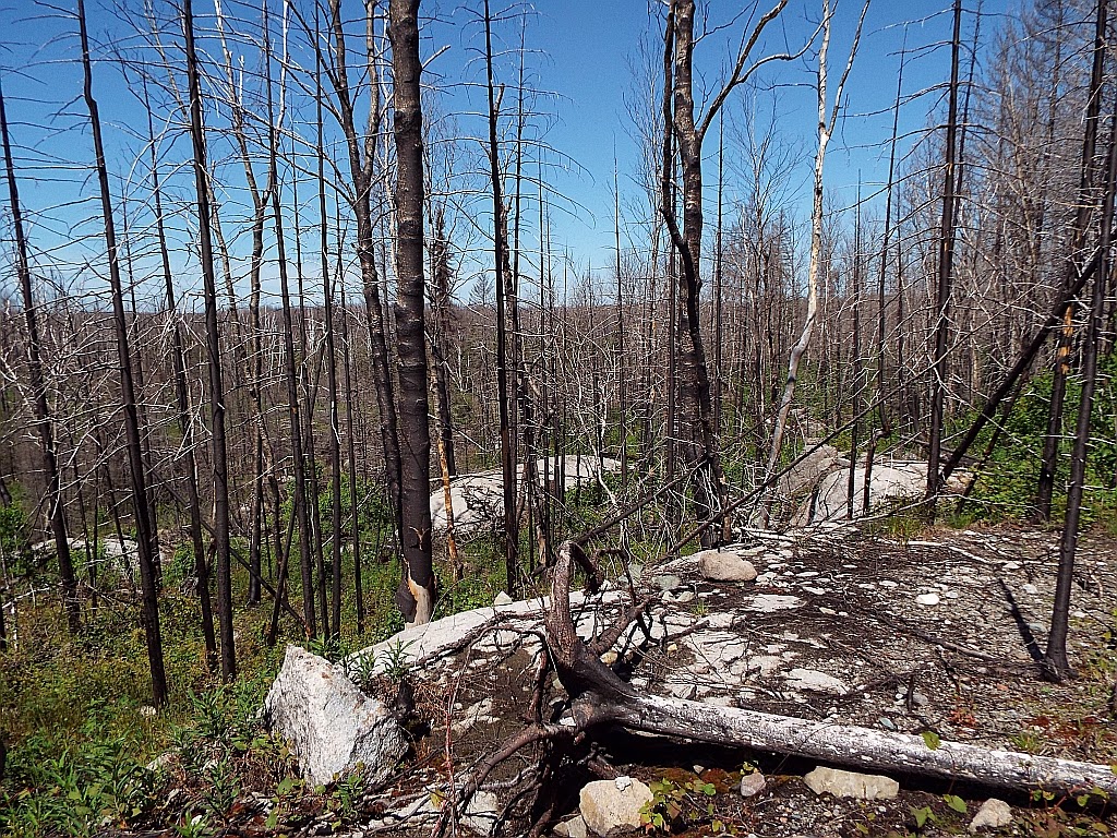 American Grouch Hiking the Boundary Waters Canoe Area Wilderness
