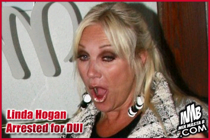 Linda Hogan Arrested for DUI.