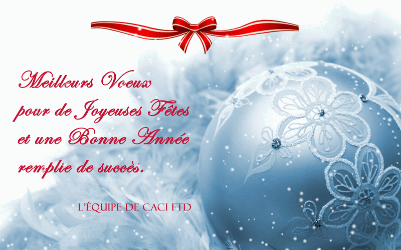 Personnalisation de ma carte Voeux du temps des fêtes