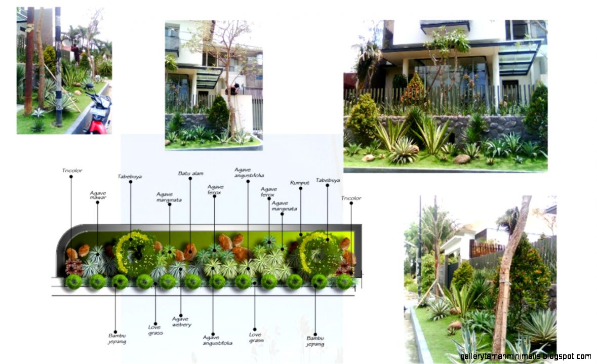 Taman Tropis Minimalis | Gallery Taman Minimalis