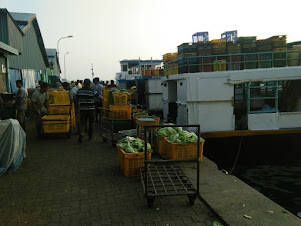 "VEGETABLE BOAT JETTY" of Male' City.