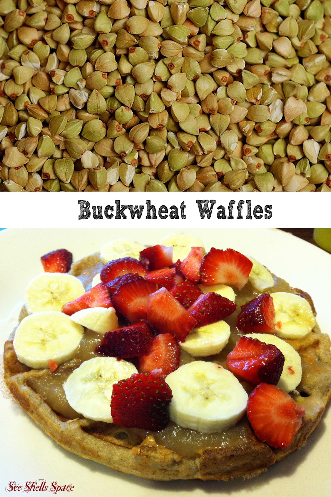 seeshellspace Buckwheat Waffles