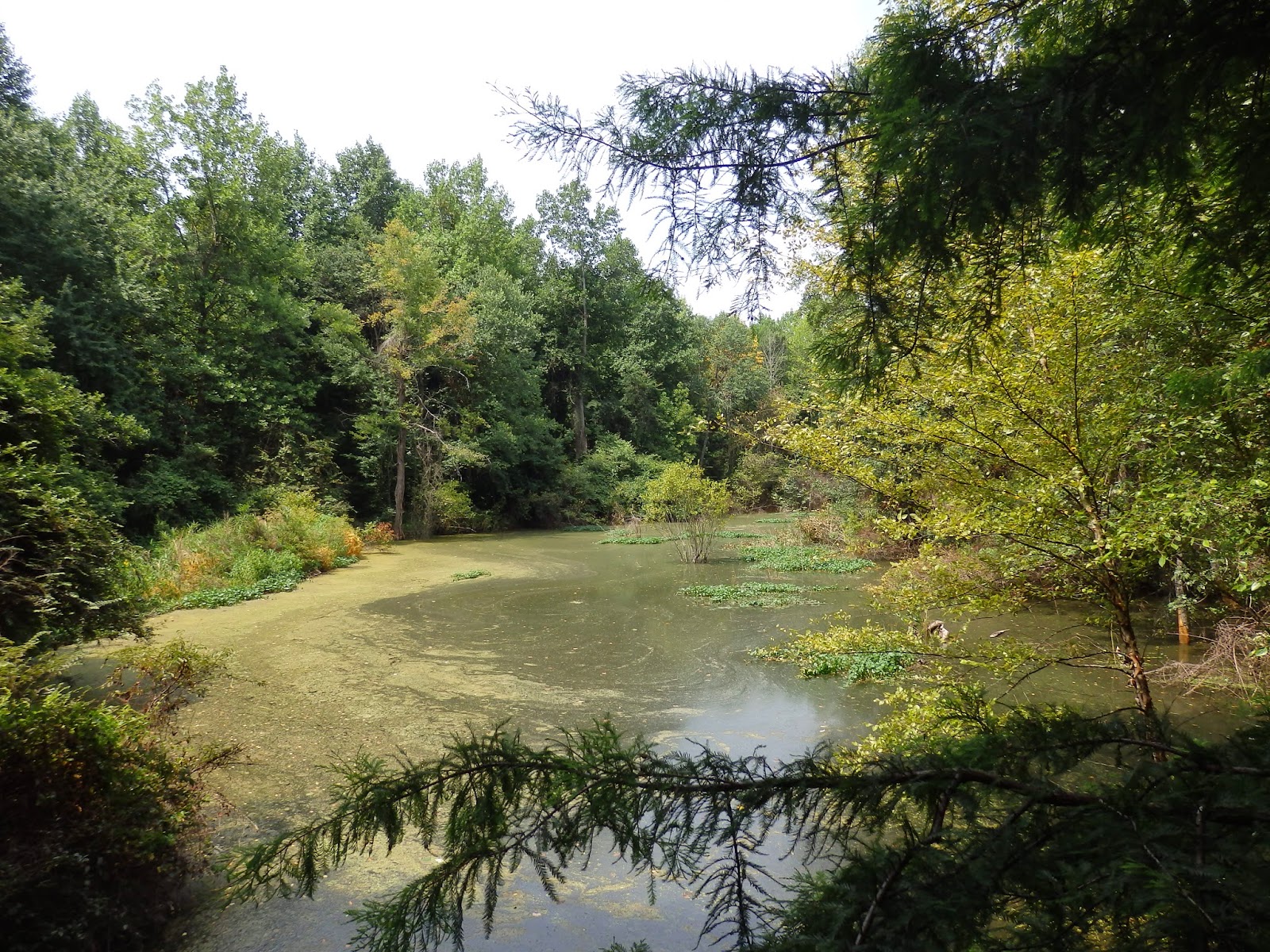 2 On the Road Sylvan Heights Bird Park Scotland Neck, NC