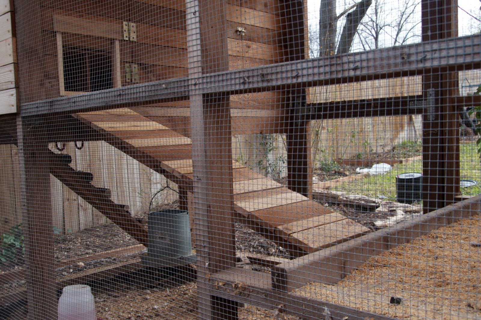 From Our Garden Gretel's Discovery