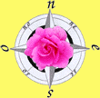 La Rosa dei Venti di Simona Giulietti