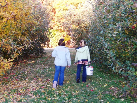 Pumpkin Patch Belton Sc