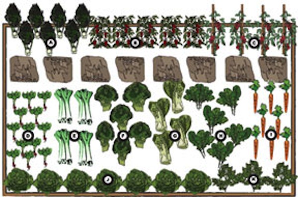 we ve created two kitchen garden design plans designed to maximize 