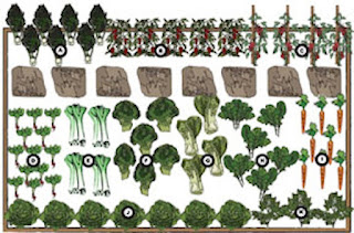 Renee's Garden Seeds: Renee's Blog: Renee's Kitchen Garden Designs
