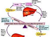 Glucose Diagram Glucose Diagram