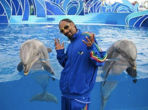 Snoop Digs Dolphins
