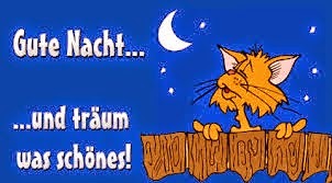 gute nacht sms / liebe / sprüche | leadiaha