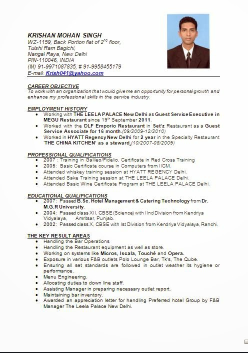 beautiful resume format