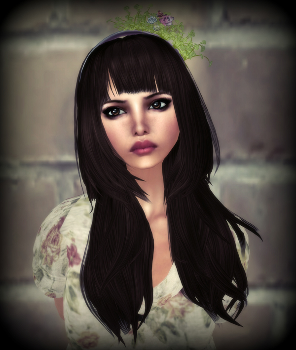 Short News Blog And Picture Galery