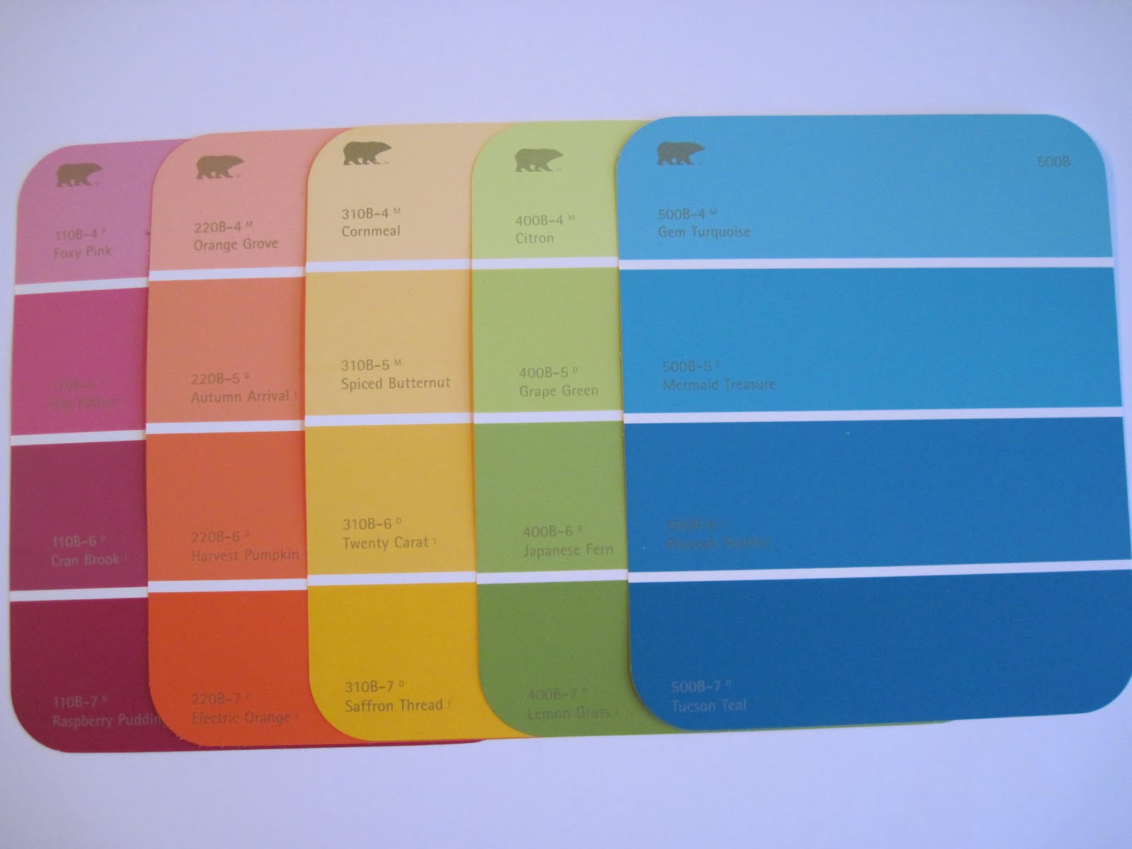 Paint Chip Colors